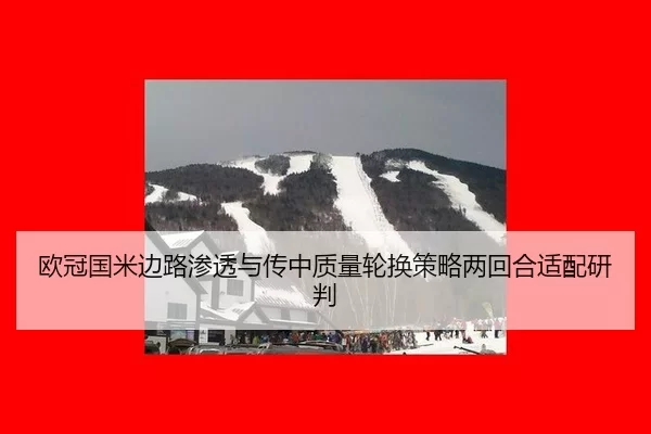 ou-guan-guo-mi-bian-lu-shen-tou-yu-chuan-zhong-zhi-liang-lun-huan-ce-lve-liang-hui-he-shi-pei-yan-pan-2-851.jpg