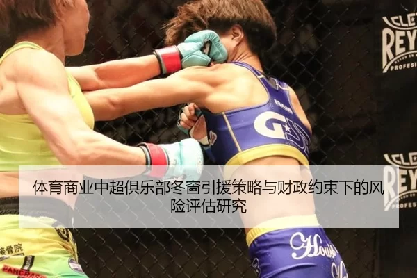 ti-yu-shang-ye-zhong-chao-ju-le-bu-dong-chuang-yin-yuan-ce-lve-yu-cai-zheng-yue-shu-xia-de-feng-xian-ping-gu-yan-jiu-2-525.jpg